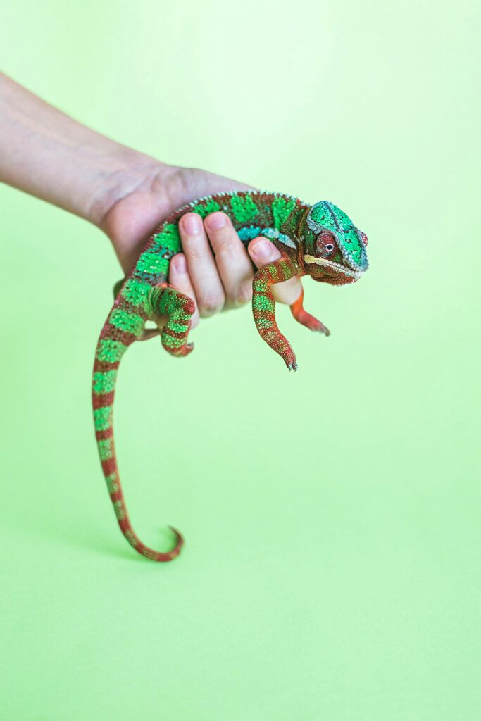 dario gomes yylwh0qwmz4 unsplash